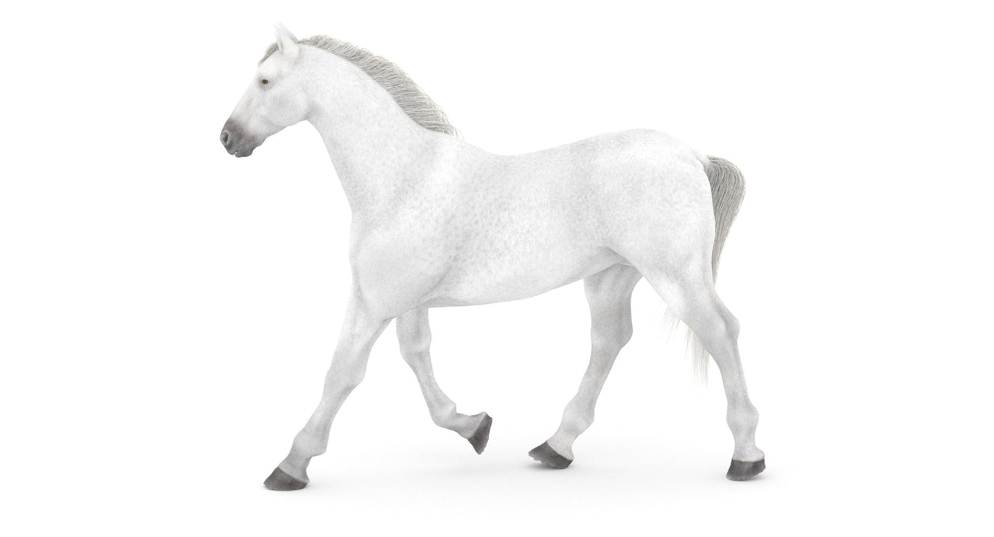Rigged White Horse 3D Model