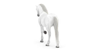 Rigged White Horse 3D Model Thumbnail