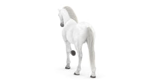 Rigged White Horse 3D Model Thumbnail