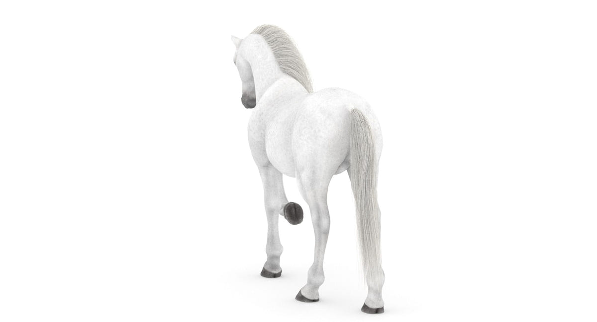 Rigged White Horse 3D Model