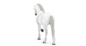 Rigged White Horse 3D Model Thumbnail