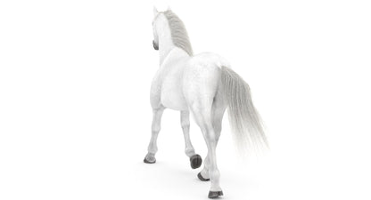 Rigged White Horse 3D Model