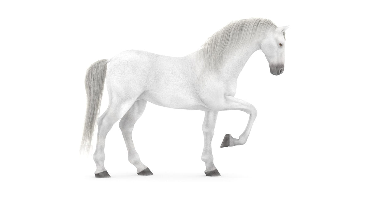 White Horse 3D Model Rigged