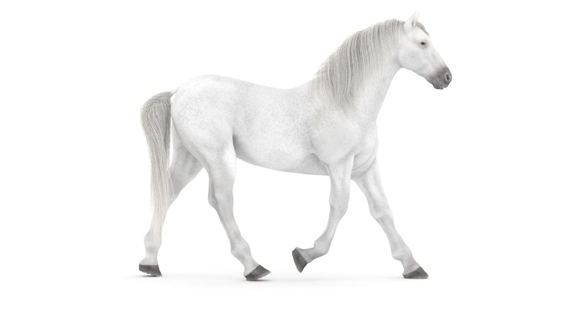 Rigged White Horse 3D Model