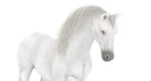 White Horse 3D Model Rigged Thumbnail