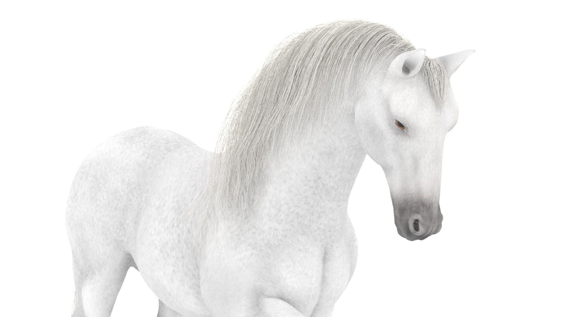 White Horse 3D Model Rigged