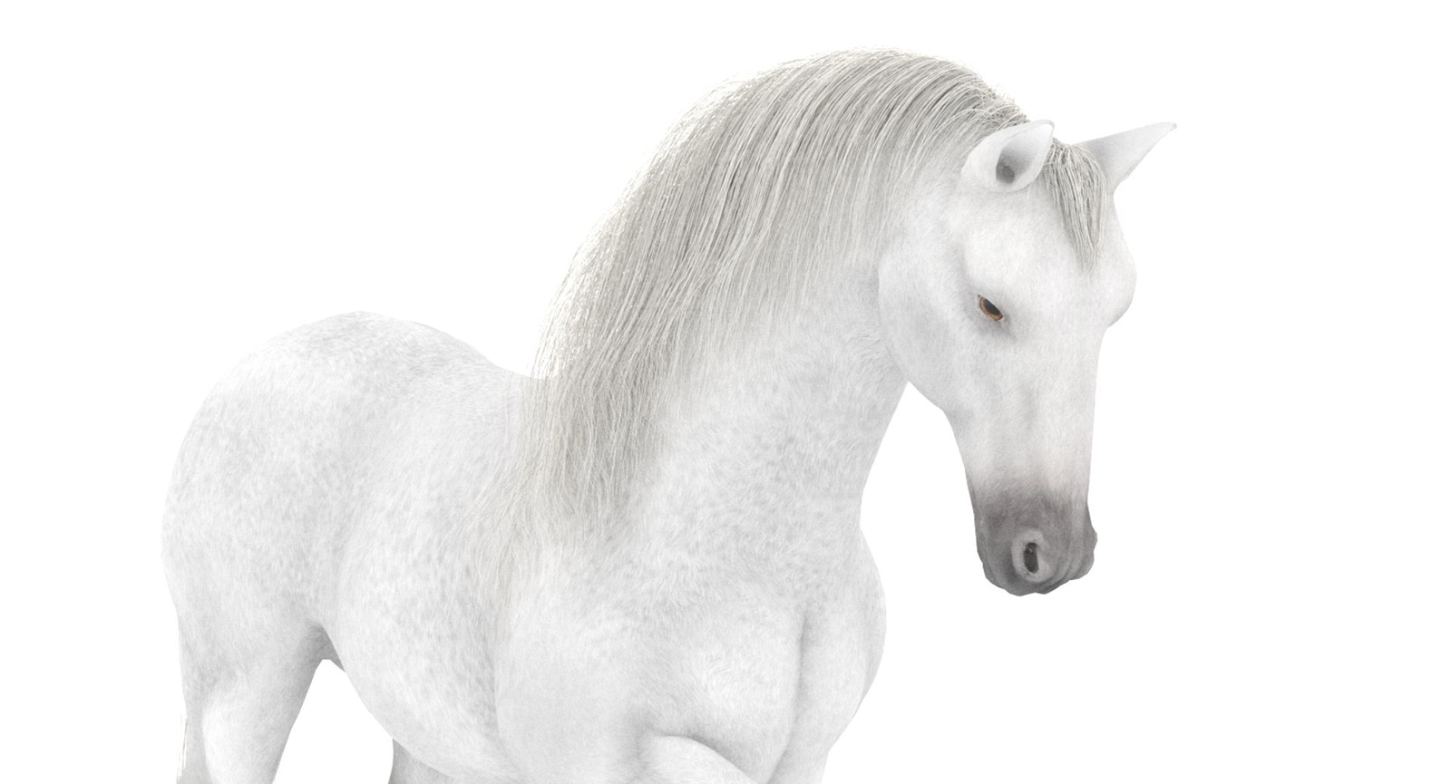 White Horse 3D Model Rigged