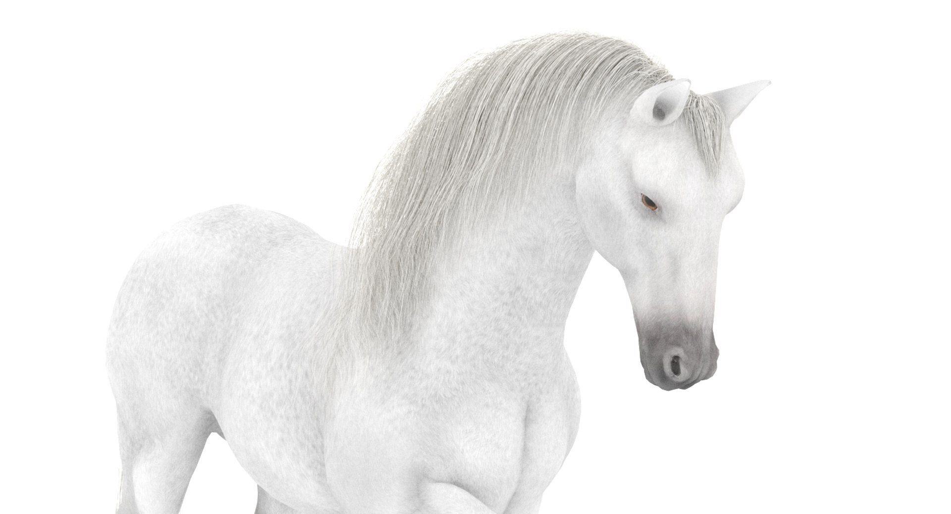 White Horse 3D Model Rigged