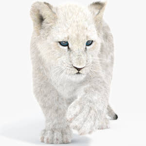 Rigged Lion Cub 3D Model with White Fur Thumbnail