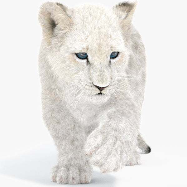 Rigged White Fur Lion Cub 3D Model