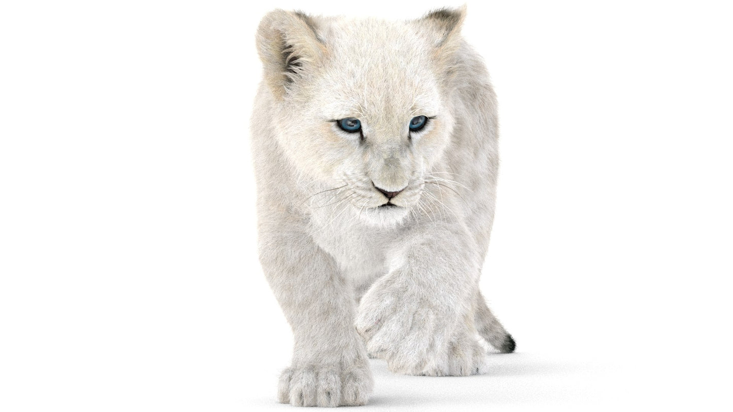 Rigged White Fur Lion Cub 3D Model