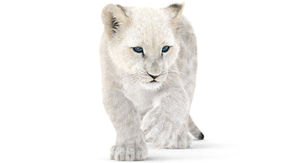 Rigged White Fur Lion Cub 3D Model