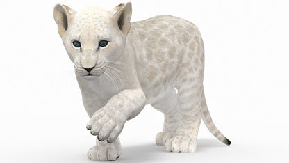 Rigged White Lion Cub 3D Model