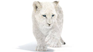 Rigged Lion Cub 3D Model with White Fur Thumbnail
