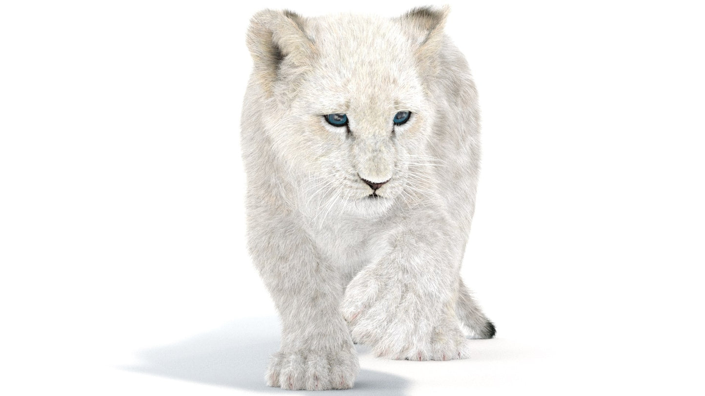 Rigged White Fur Lion Cub 3D Model