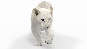 Rigged White Lion Cub 3D Model for Download Thumbnail