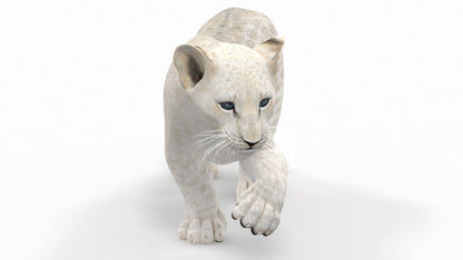 Rigged White Lion Cub 3D Model