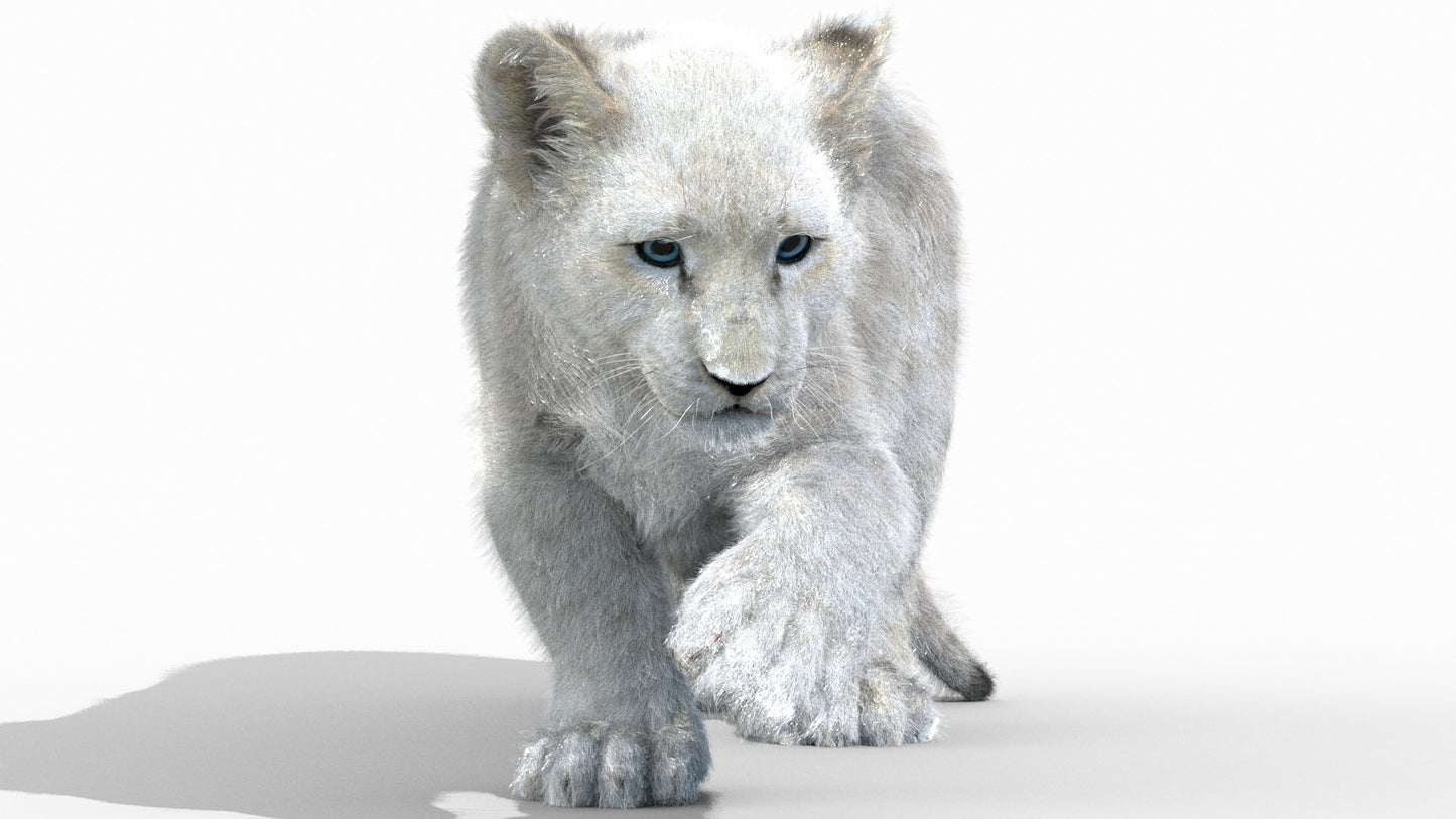 Rigged White Fur Lion Cub 3D Model