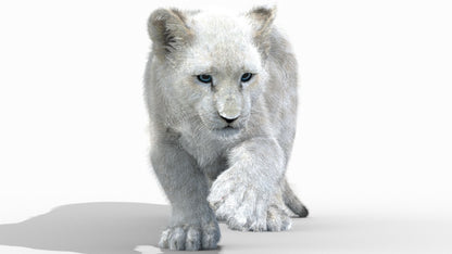 Rigged White Fur Lion Cub 3D Model