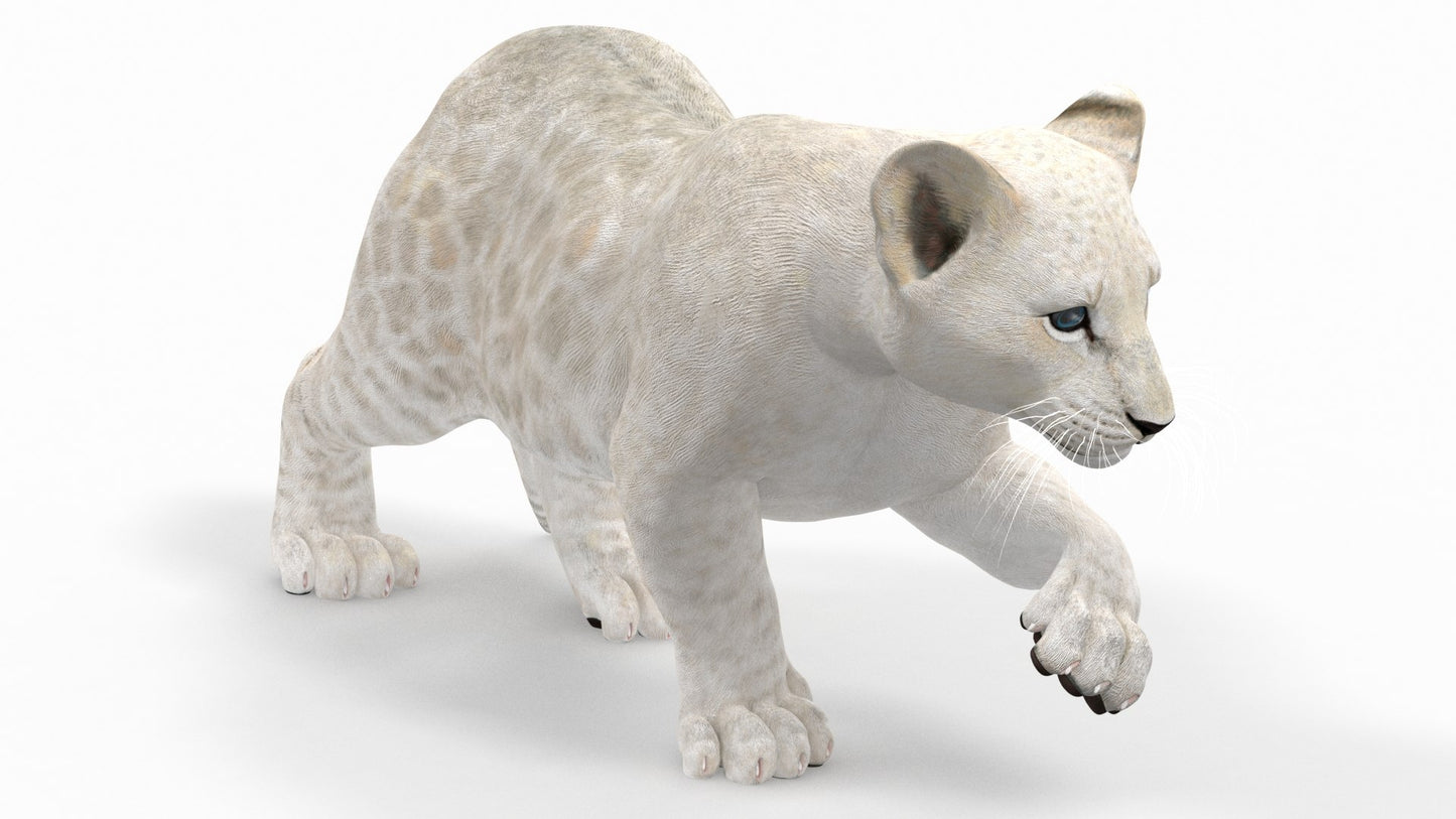 Rigged White Lion Cub 3D Model