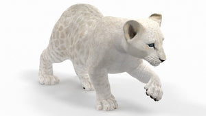 Rigged White Lion Cub 3D Model for Download Thumbnail
