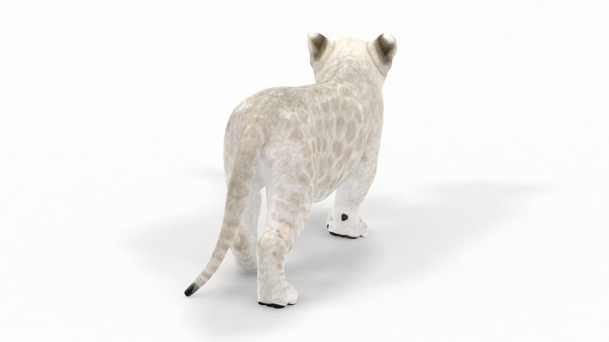 Rigged White Lion Cub 3D Model for Download