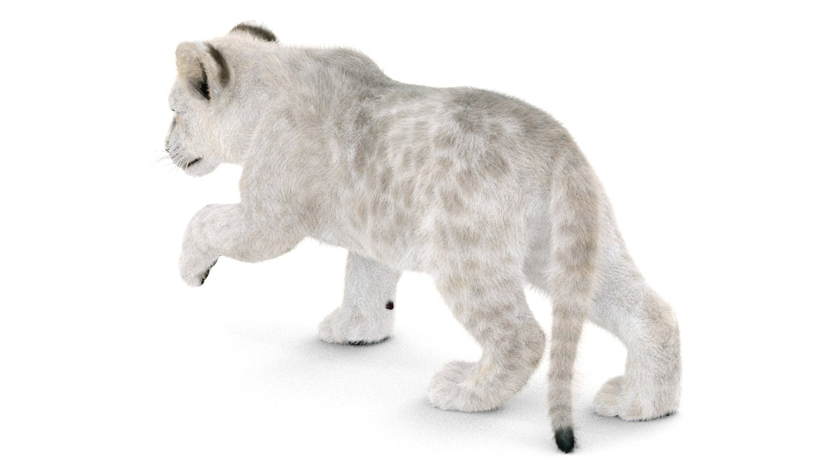 Rigged Lion Cub 3D Model with White Fur