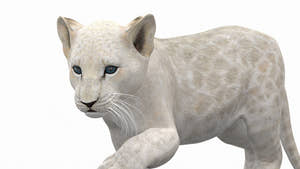 Rigged White Lion Cub 3D Model for Download Close Up View Thumbnail