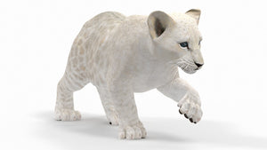 Rigged White Lion Cub 3D Model for Download Close Up View Thumbnail
