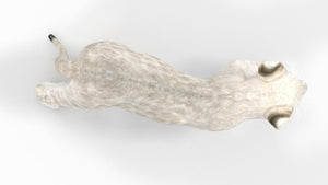 Rigged White Lion Cub 3D Model for Download Top View Thumbnail