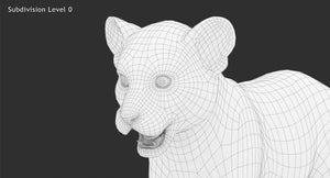 White Lion Cub 3D Model Close Up Wieframe View Subdivision Level 0 Thumbnail