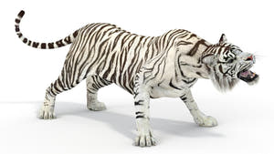 Rigged Sumatran White Tiger 3D Model Thumbnail