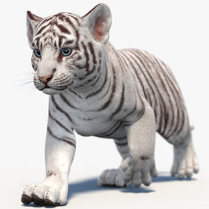 Rigged White Baby Tiger 3D Model Thumbnail