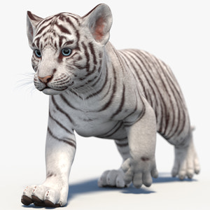 Rigged White Baby Tiger 3D Model Thumbnail