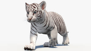 Rigged White Baby Tiger 3D Model Thumbnail
