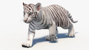 Rigged White Baby Tiger 3D Model for Download Thumbnail