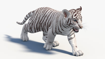 White Baby Tiger 3D Model Rigged with CAT