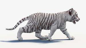 White Baby Tiger 3D Model Rigged Thumbnail