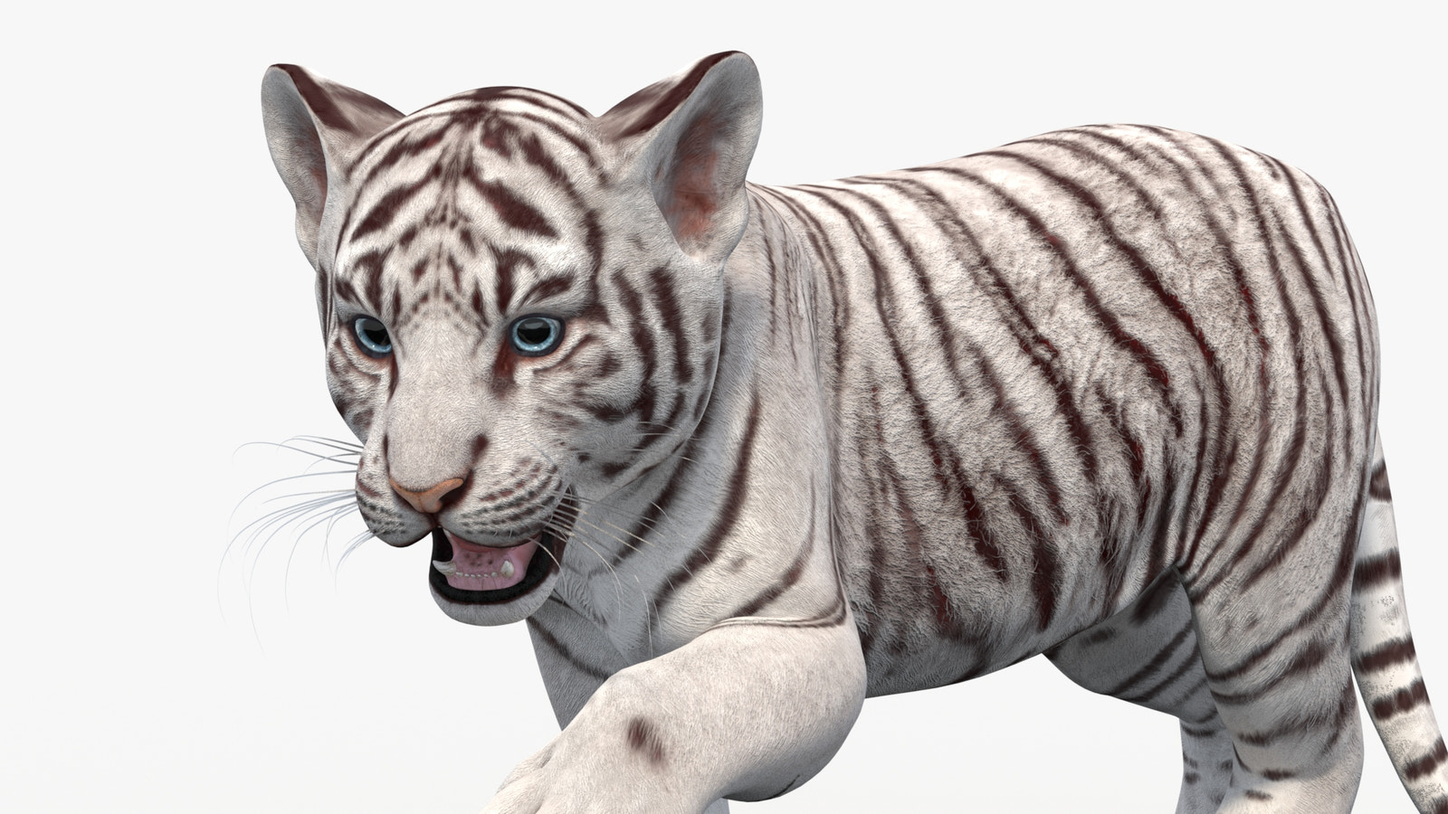 Rigged White Baby Tiger 3D Model