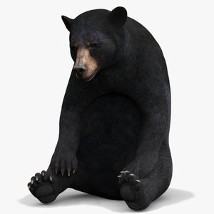 Rigged Black Bear 3D Model for Download Thumbnail