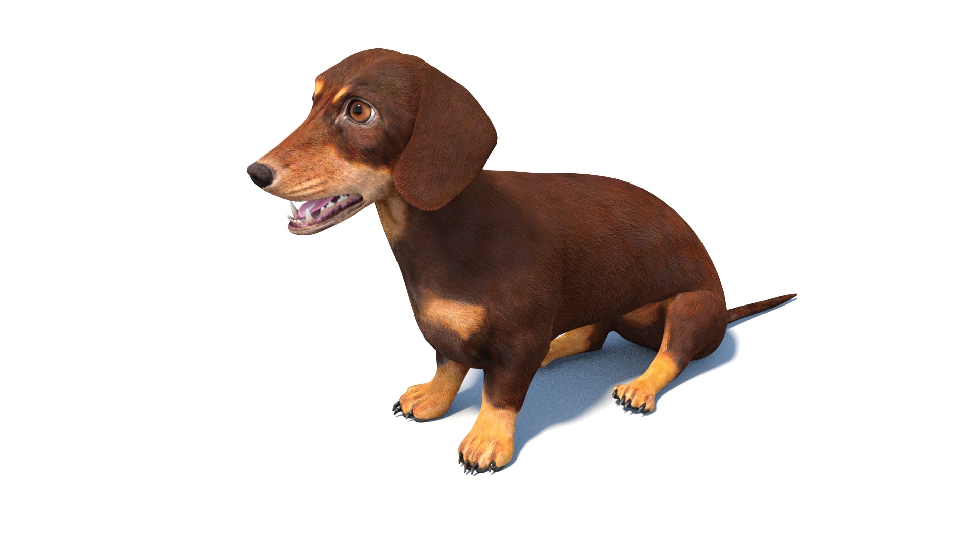 Rigged Dachshund Dog 3D Model Sitting
