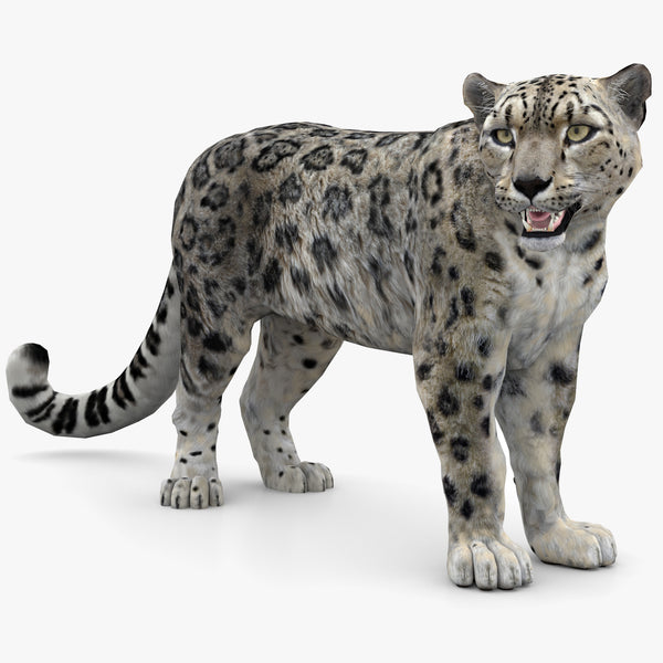 Rigged Snow Leopard 3D Model