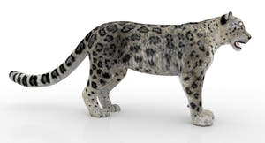 Rigged Snow Leopard 3D Model for Download Thumbnail