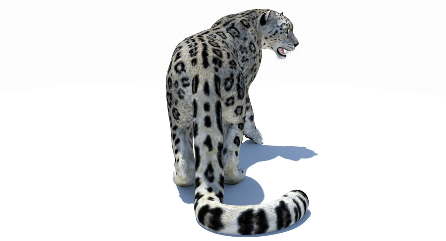 Rigged Snow Leopard 3D Model for Download: from Back Side: 3ds Max Cat rigging