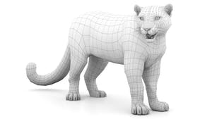 Rigged Snow Leopard 3D Model Wireframe View Subdivision Level 0 Thumbnail