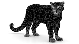 Rigged Snow Leopard 3D Model Wireframe View Subdivision Level 0 Thumbnail