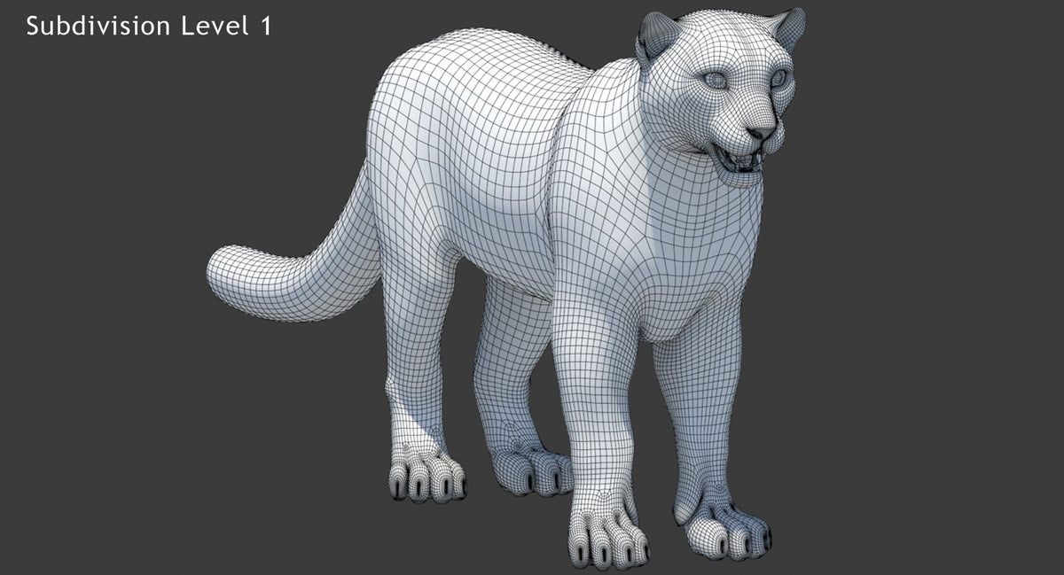 Rigged Snow Leopard 3D Model Wireframe View Subdivision Level 1