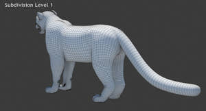 Rigged Snow Leopard 3D Model Wireframe View Subdivision Level 1 Thumbnail