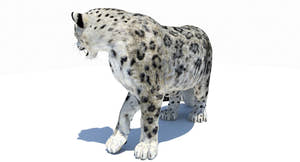 Rigged Snow Leopard 3D Model for your Game Thumbnail