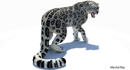 Rigged Snow Leopard 3D Model: Mental Ray Renderer